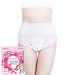 Breathable Dry Care Disposable Menstrual Pants for Women Super Absorbent and