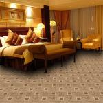 4*25m Ring Velvet Commercial Floor Mat Building Business Office Carpet