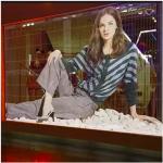3.9mm Indoor Rental Video Wall Panel , P3.91 Transparent Glass Led Display