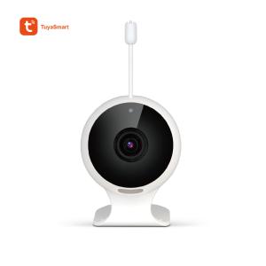 Wholesale 1080p Indoor Baby IP Camera(IPC163) from china suppliers
