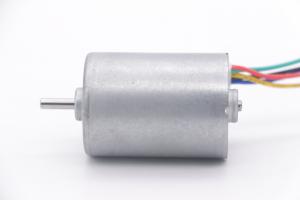 Wholesale BL2838 Brushless 24V 12V DC Motor 4000 Rpm High Torque Small Bldc Motor from china suppliers
