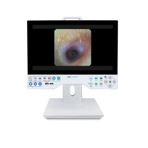 Wholesale 15 Inch FHD Camera System Compatible Flexible And Rigid Endoscope Professional Manufacturer from china suppliers