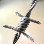 Steel Wire Material Razor Barbed Wire Durable Single Strand Double Twisted