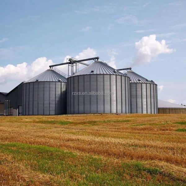 Optimum Agricultural Storage Made Easy with STR STGF80 Grain Silo 28000 KG