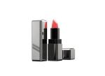 12.1mm Mechanism Lipstick Tube Container silk screen Printing