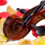 constansa Golden brands of advanced handmade 5 string violinChina's factory