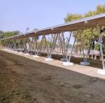 Renovation-Friendly Steel Single Column Bracket for Commercial Solar Carport