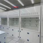 High-Performance Chemical Fume Hood Lab PP Fume Hood 400m3/h Airflow