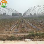 Design Greenhouse with Film Delivery Within 30 Days After Payment Designable