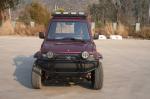 Lithium Battery Powered 4x2 Pickup Truck Mini 2 Seat Fully Electric Pickup