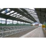 Steel Workshop Windproof Long Span Prefab Space Steel Structure Building for