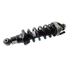 Wholesale 420512019AL Rear Air suspension Shock Absorber For Audi R8 Air strut from china suppliers