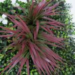 Outdoor Plastic Artificial Plant Wall Panel 30mm Vertical Garden Landscape