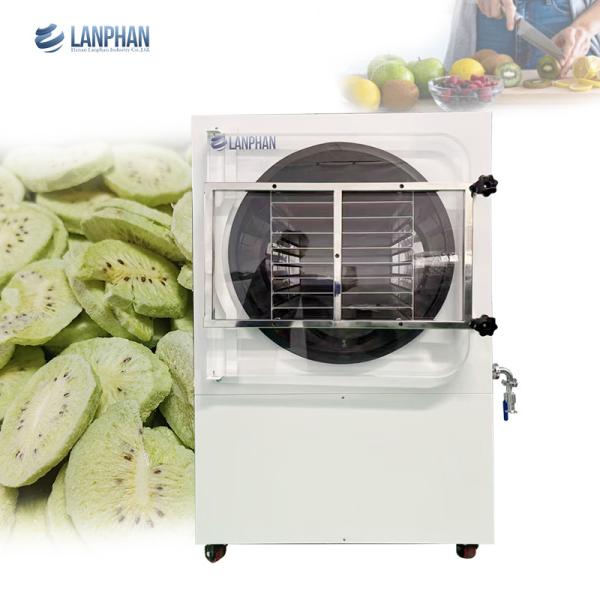 Double Compressor Vegetable Freeze Dryer Fruit Flower Vacuum Freeze Drying