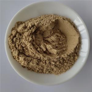 China health care product nutrition supplement fucoxanthin powder on sale
