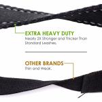 Nylon Heavy Duty Dog Leash 6' Long 3mm Thick Soft Padded Handle For Comfort