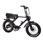 2022 Electric Fat Tyre Bike Mountain Adult Electric Bicycle 20 Inch Wheel Size 7