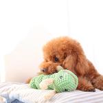 Bite Resistance Plush Dog Toys Customized Color With Sound Bag 13 Inch