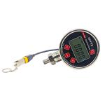 Intelligent Storage Type Digital Pressure Gauge YW-100C Precision Recording