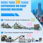 500-1000KG/H Solid Dishwash Bath Bar Soap Maker Machine for Toilet/Laundry Soap