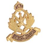 American Airline Metal Clothing Badges For Military Uniforms Oman Badges