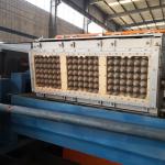 Pulping Waste Paper Egg Tray Making Machine 100kw