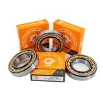 25*62*17mm Single Row NU/NJ/NF305EM Cylindrical Roller Bearing with Long Service