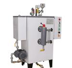 Pure Simple Portable Electric Steam Generator 100kg Capacity Energy Saving