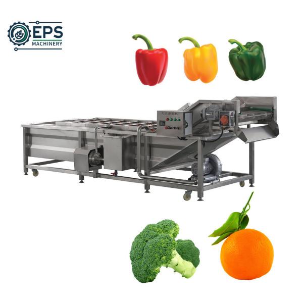 304 Stainless Steel Small Bubble Washer System for Leafy Greens Complete
