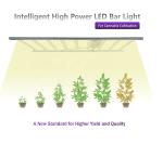 Hydroponic Red UV 1000W LED Grow Lights Lm301h Lm301b For Plants