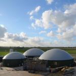Quick Installation Dual Membrane Biogas Balloon For Biogas Project Anti UV