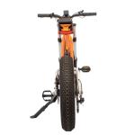 Rear Hub Motor 750w High Speed Dirt Bike Off-Road Electric Fat Tire Bike