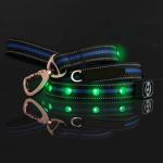 LED Dog Leash, USB Rechargeable Lights 3 Glowing Modes Night Safety, Water