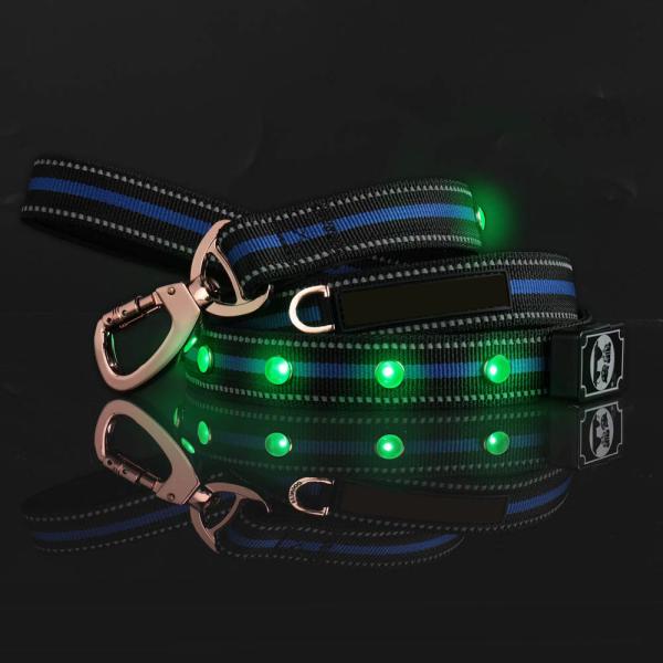 LED Dog Leash, USB Rechargeable Lights 3 Glowing Modes Night Safety, Water