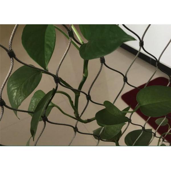Green Wall Stainless Steel Cable Trellis Diamond / Rhombus Mesh Shape