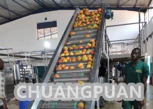 Wholesale Turn Key PLC Control 1-20T/H Mango Pulp Production Line 220V 380V 440V from china suppliers