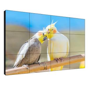Wholesale Widescreen 55'' Seamless LCD Video Wall 178° Full View Angle 1080 FHD Resolution from china suppliers