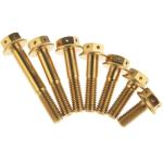 DIN6921 Factory Direc Anodized M8x30mm Flange Bolt Hex Flange Head Titanium Bolt