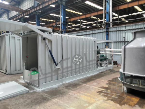 Customized Vacuum Cooling Machine, Leaf Vegetables/Flowers/Mushroom Vacuum