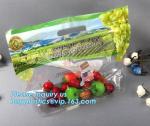 Empaque Alimentos Zip lockk Stand Up Plastic Snack Nut Packaging Bag Mango Dried