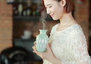 Wholesale EW-E520 Vase USB Humidifier Personal Ultrasonic Air Cool Mist Home Application from china suppliers