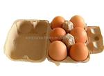 Pulp Waste Paper Egg Tray Making Machine For Chicken Farm Small Production