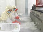 800KG/Hour 1000kgs/Hour Liquid Nitrogen Tunnel Freezer Quick Freezing Machine