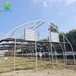Low Tunnel Plastic Film Galvanized Steel Frame Structure Greenhouse For Sale