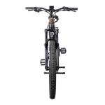 48V 1000W Lithium Battery Carbon Fiber e bike for 30-60km Range and Strong Power