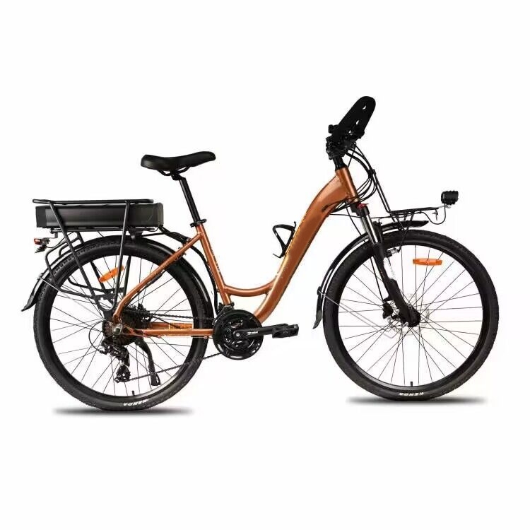 Lithium Battery 700C Electric City Bike 24 Speed 250W Low Step Through Electric Bike