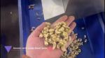304 SS Stainless Steel High Capacity Cashew Sorting Machine with 12 Smart