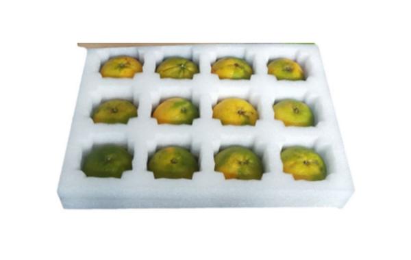 Logistics Packaging EPE Pearl Cotton Fruit Carrier Shockproof Anti Fall Foam