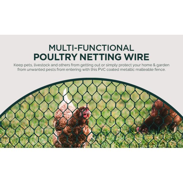 Wire, Steel Wire Mesh Roll, Versatile And Durable Garden Netting, Essential Galvanized PVC-Coated Hexagonal Chicken Wire Mesh Low Price Bulk Poultry