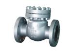 PN16 - PN420 Industrial Check Valve , Swing Check Valve Standard Swing Disc Type